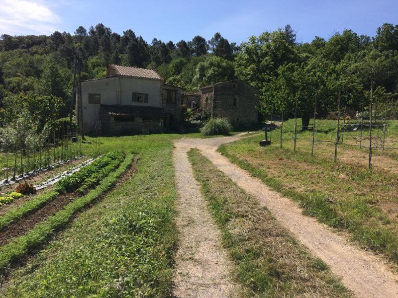 Deux Chambres D Hotes Attenantes Avec Salon Salle A Manger Privatif En Cevennes Gardoises Saint-Jean-du-Gard Εξωτερικό φωτογραφία